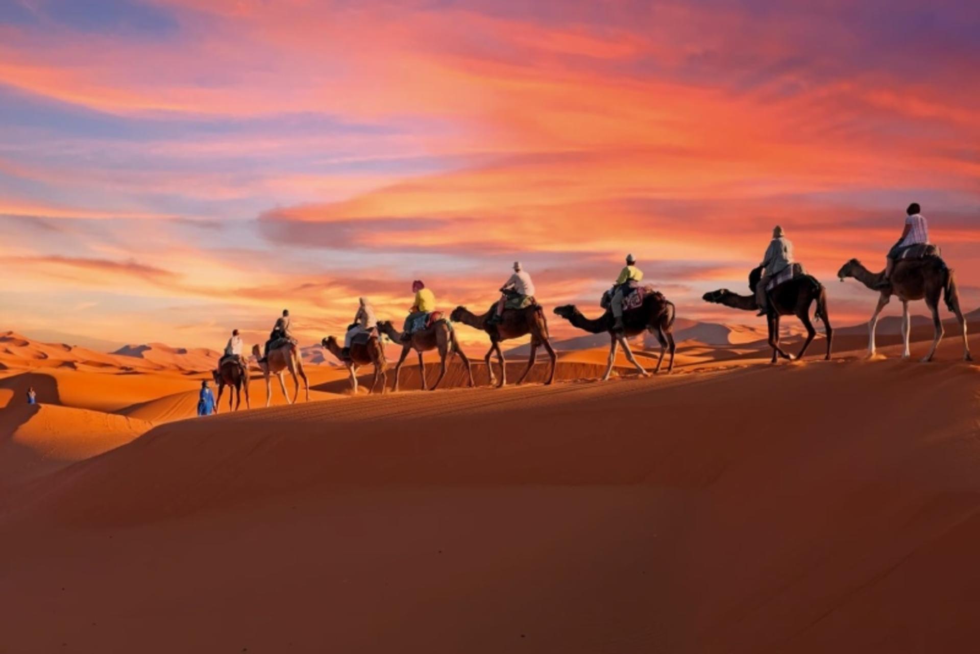 شتر سواری در صحرای بزرگ آفریقا