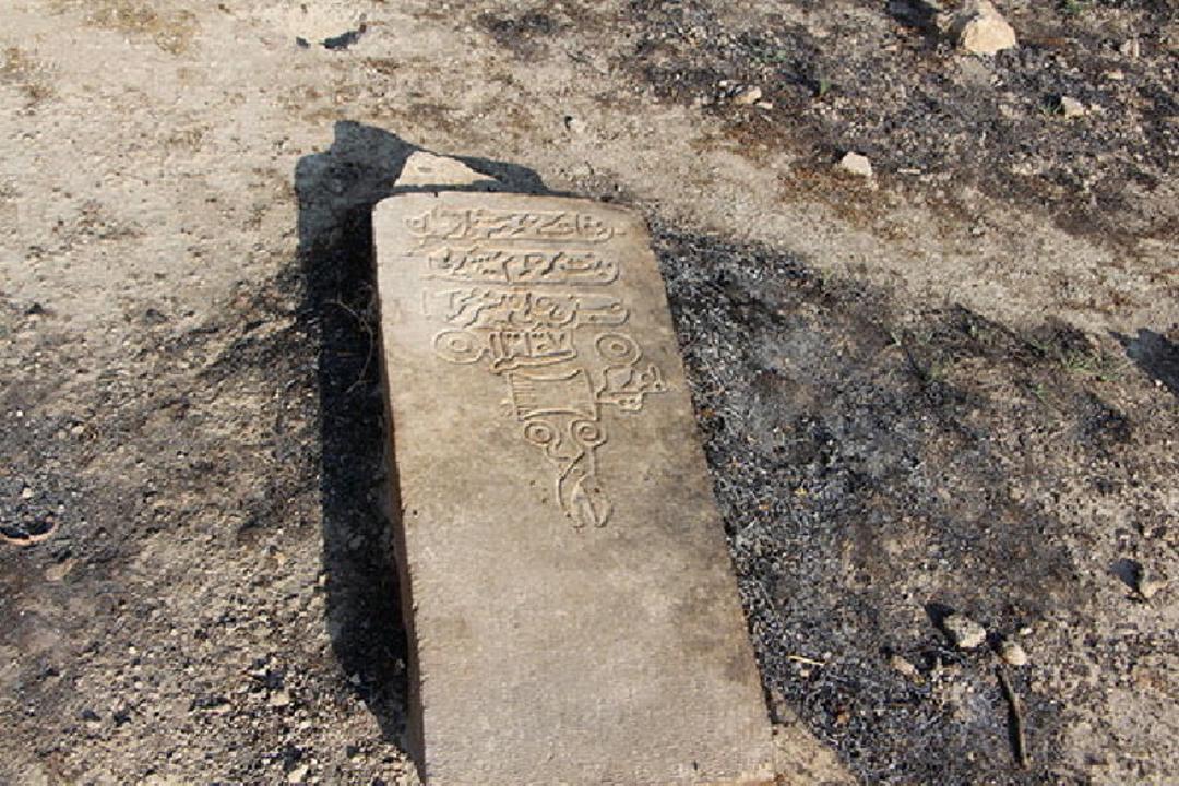 گورستان بیدزرد
