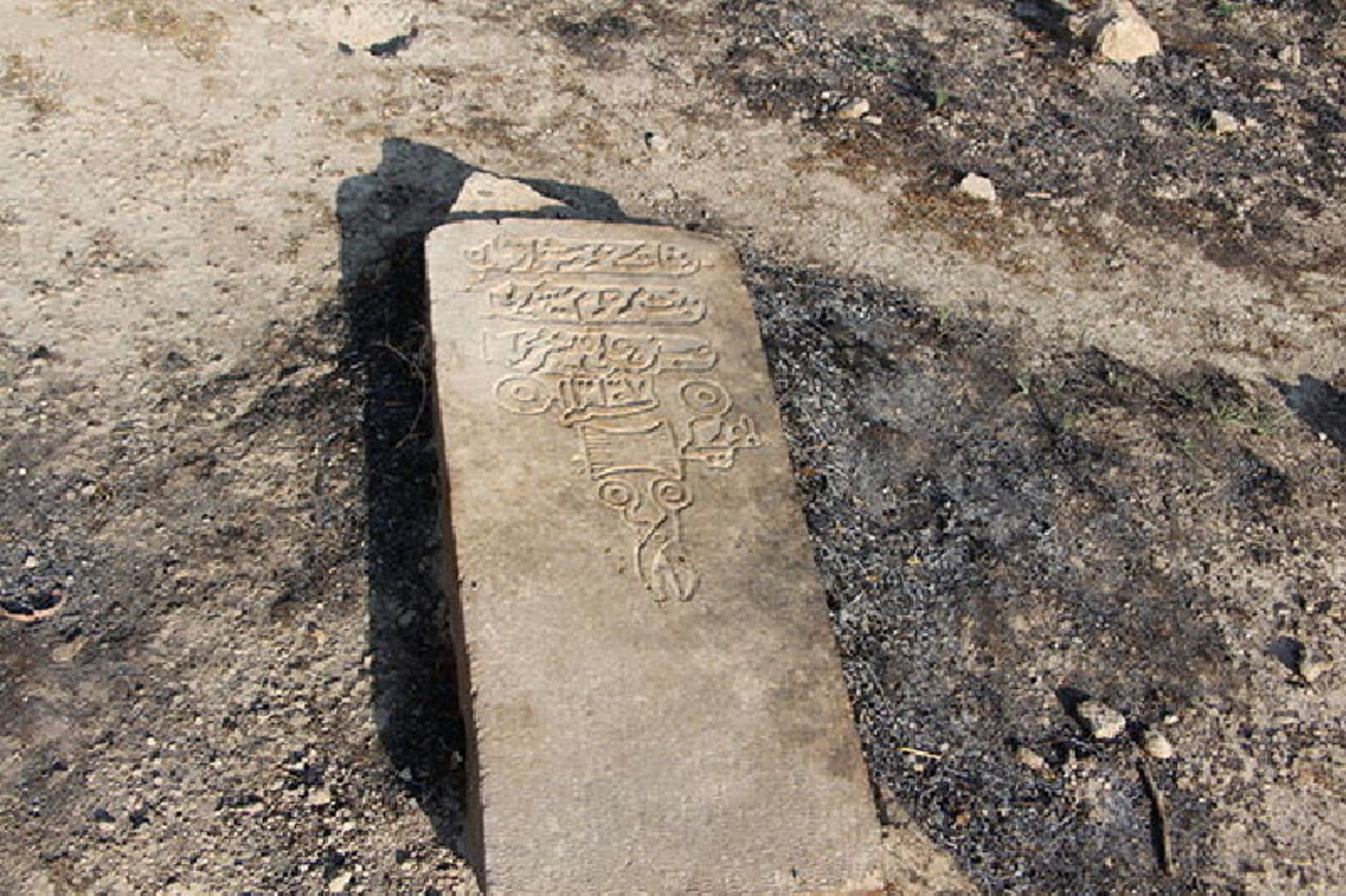 گورستان بیدزرد