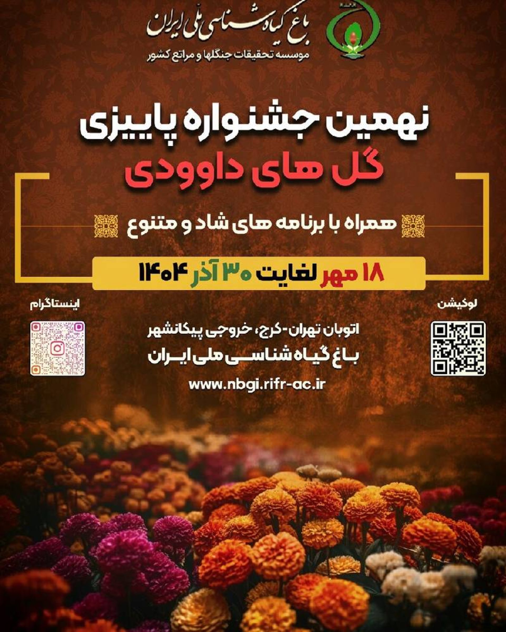 جشنواره گل‌های داوودی در باغ گیاه‌شناسی