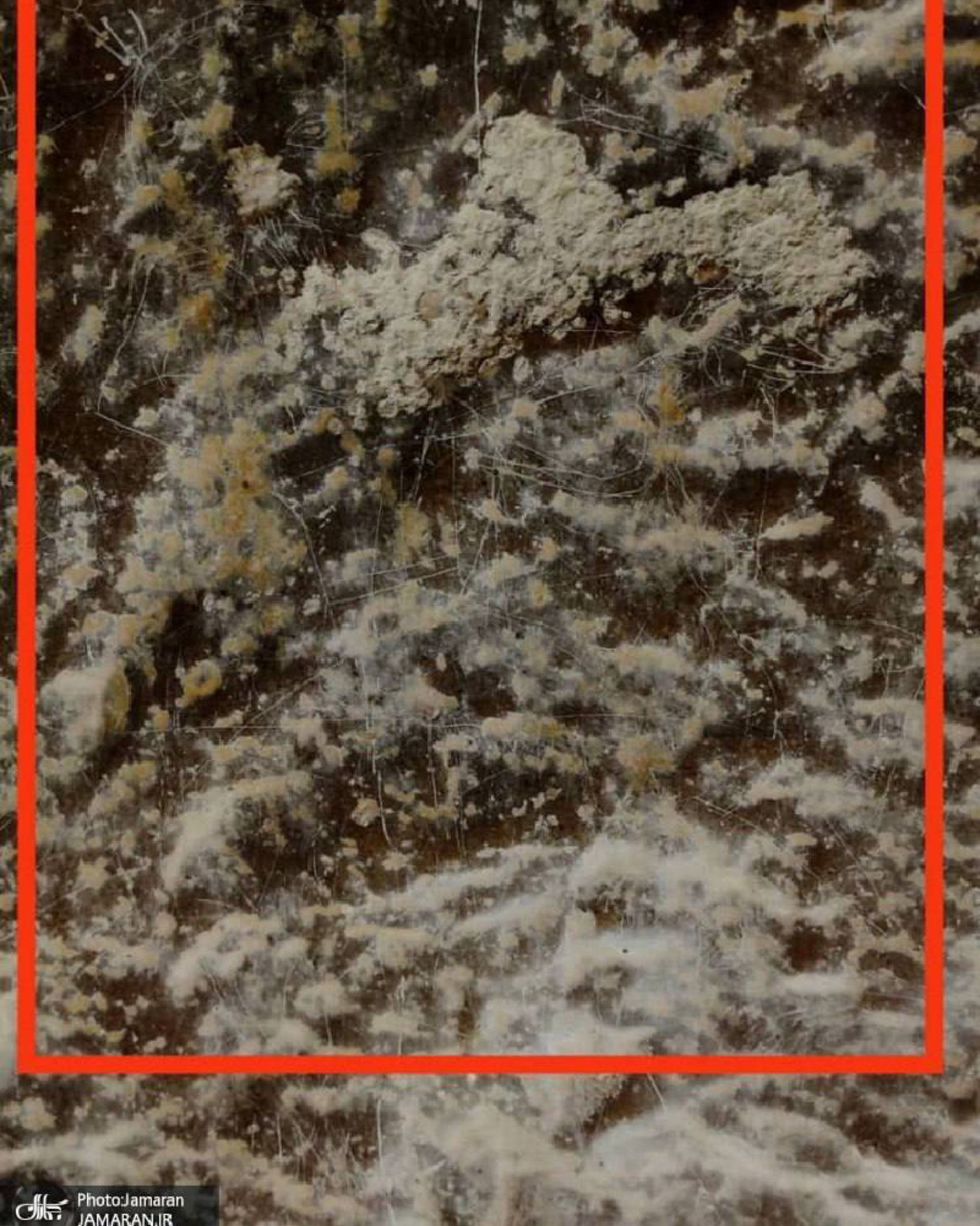 سوارکار ساسانی