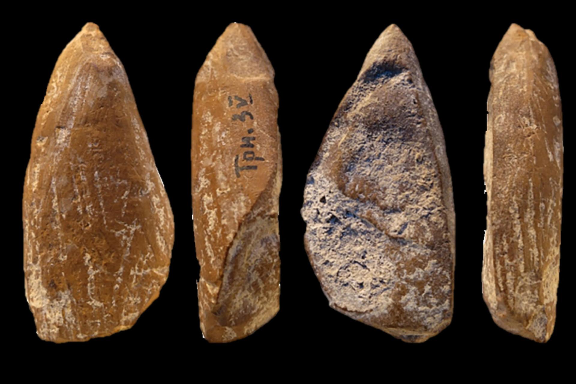 نئاندرتال‌ها 