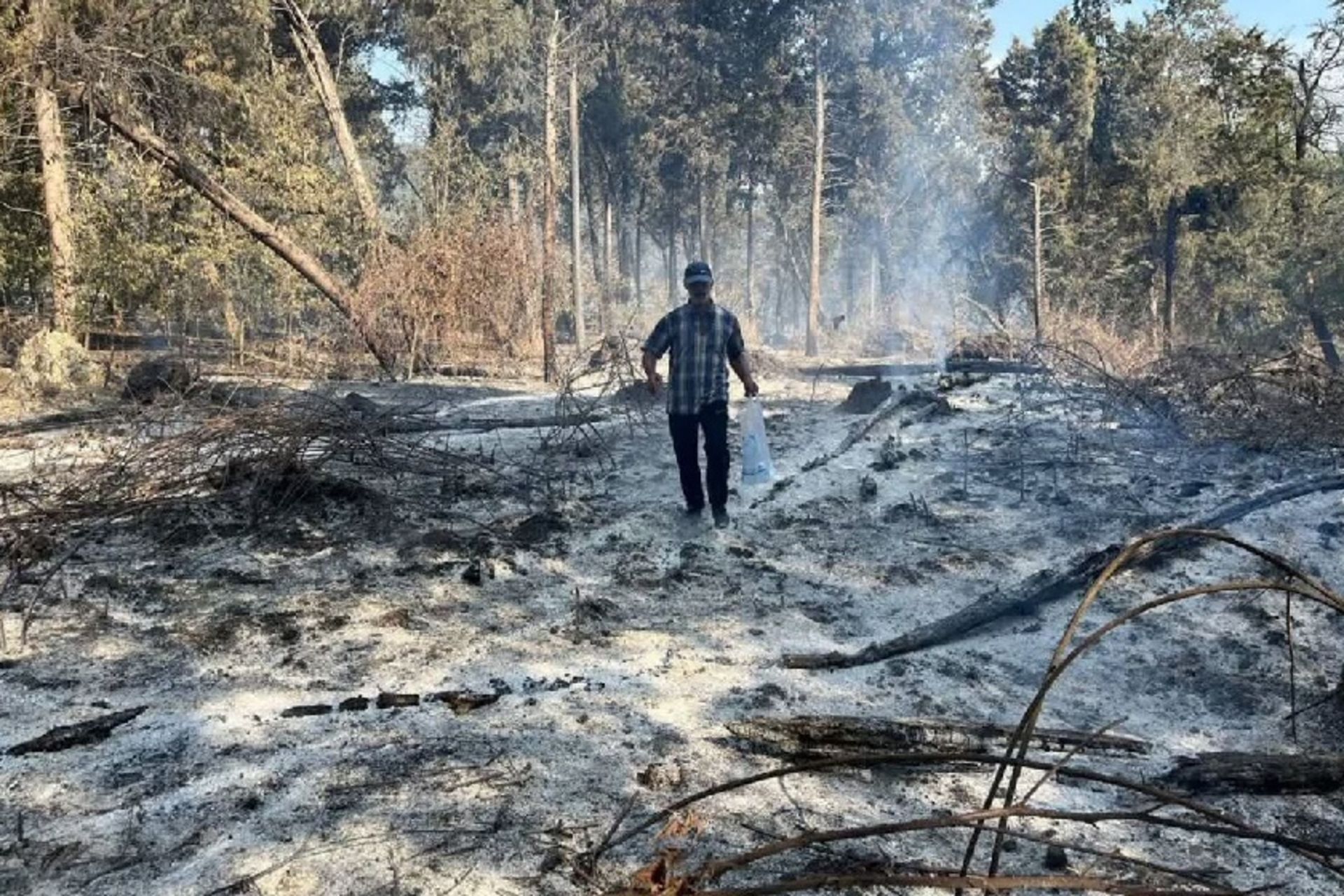 مهار آتش سوزی هیرکانی