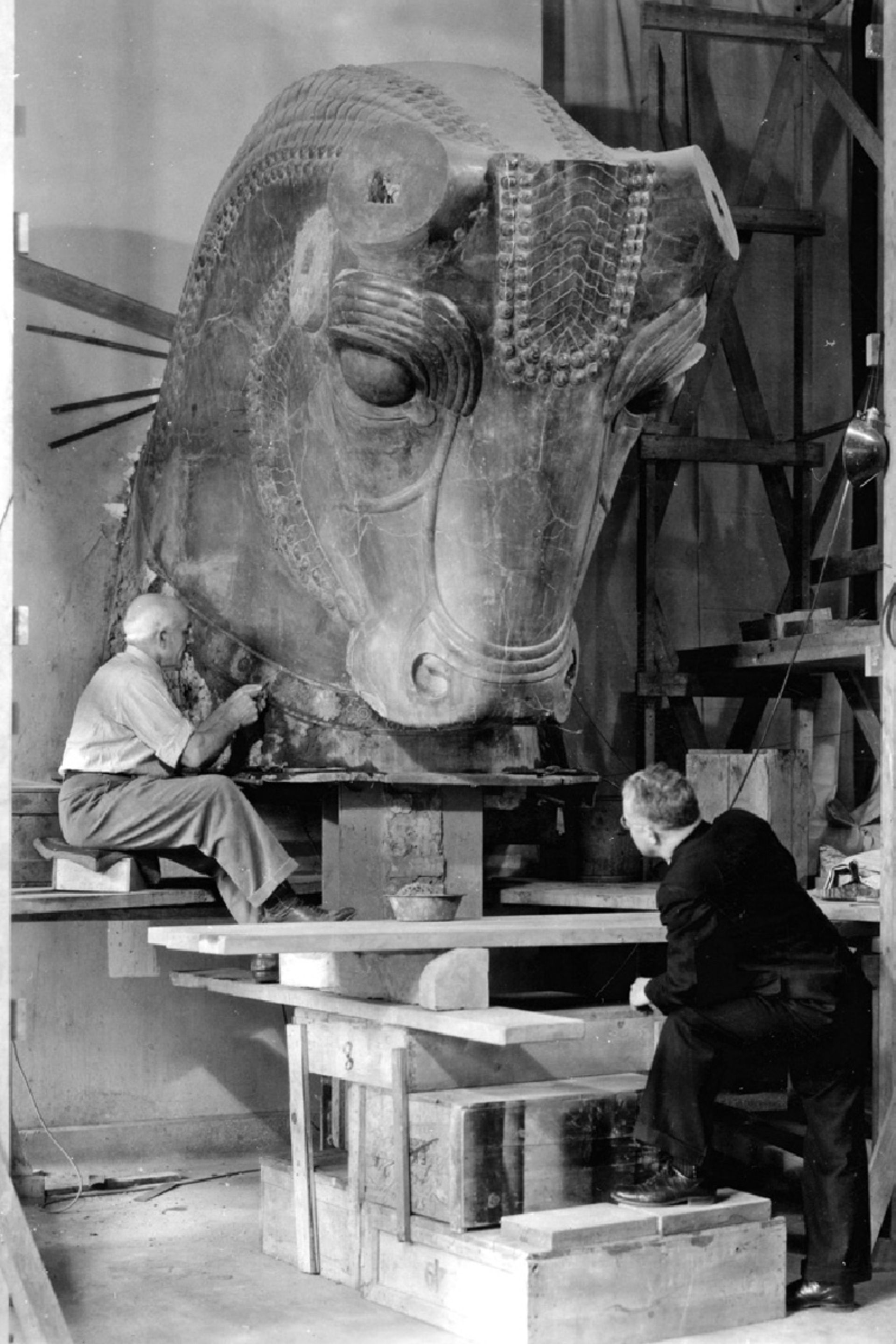 مرمت سرگاو تخت جمشید