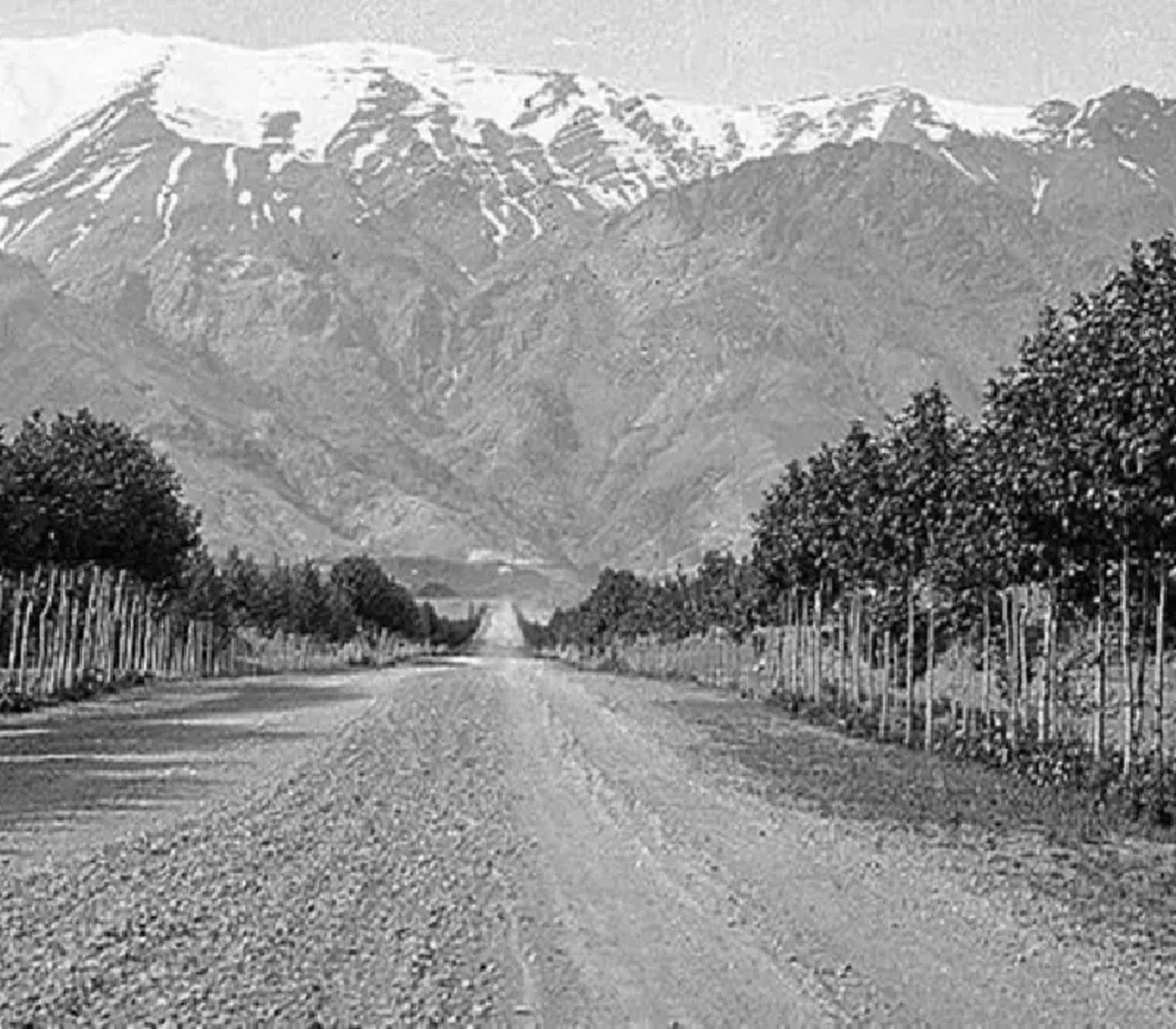 خیابان ولیعصر خاکی