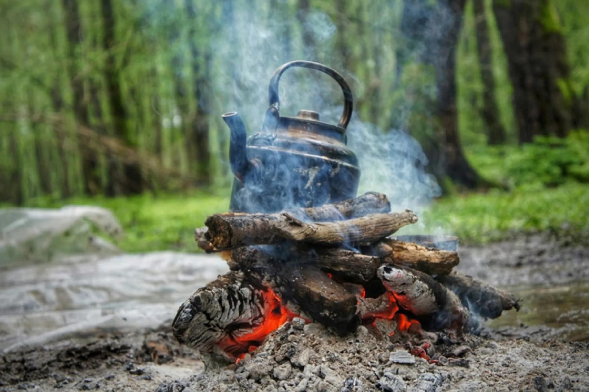 ممنوعیت شب‌مانی در جنگل