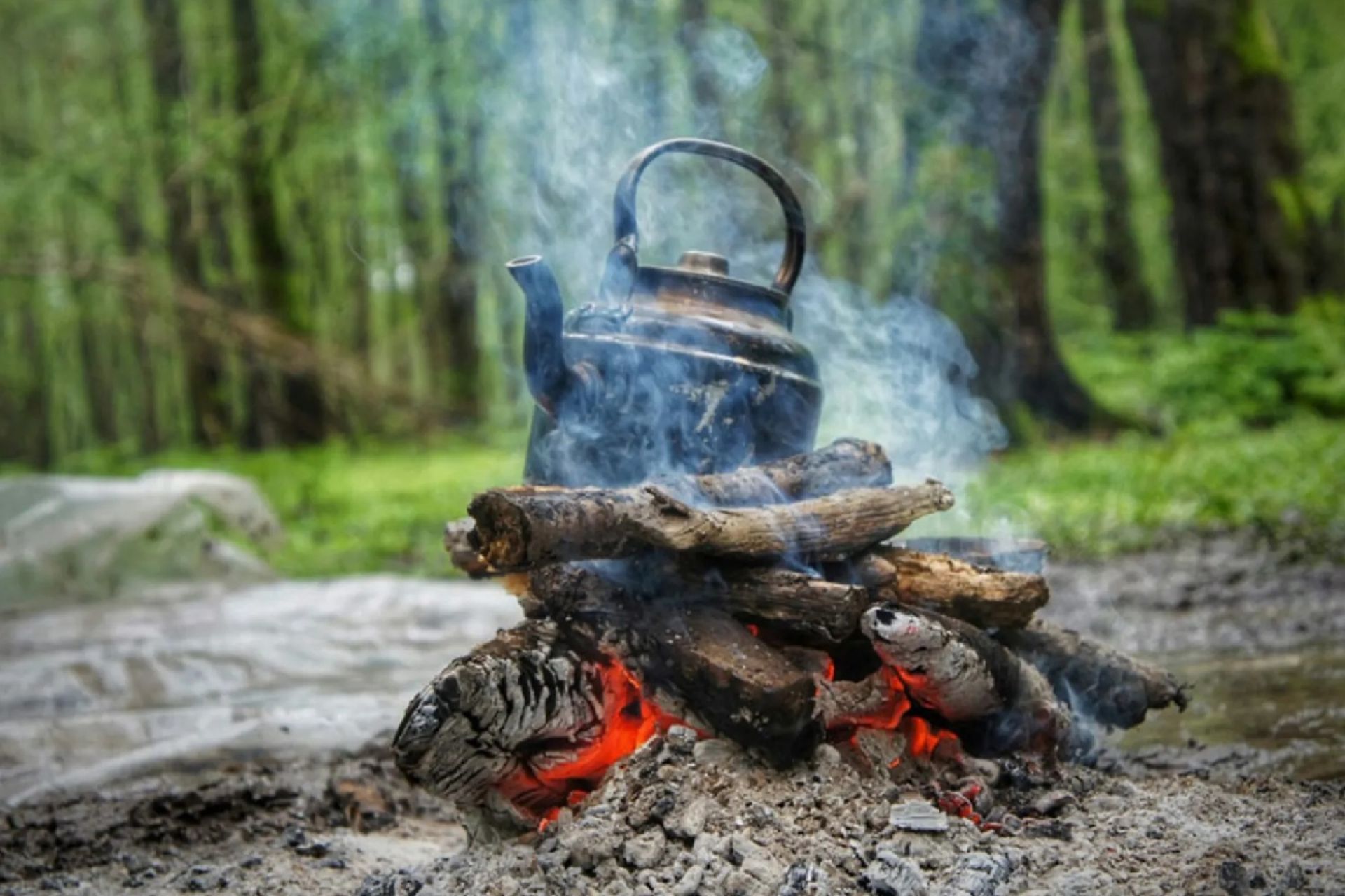 ممنوعیت شب‌مانی در جنگل