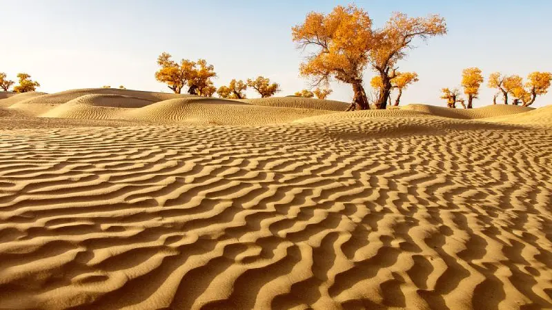 پوشش گیاهی کویر تکله‌ مکان 