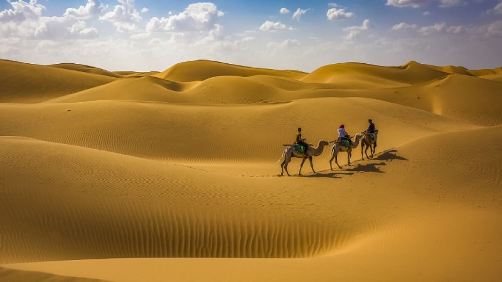 شتر سواری در کویر تنگر 