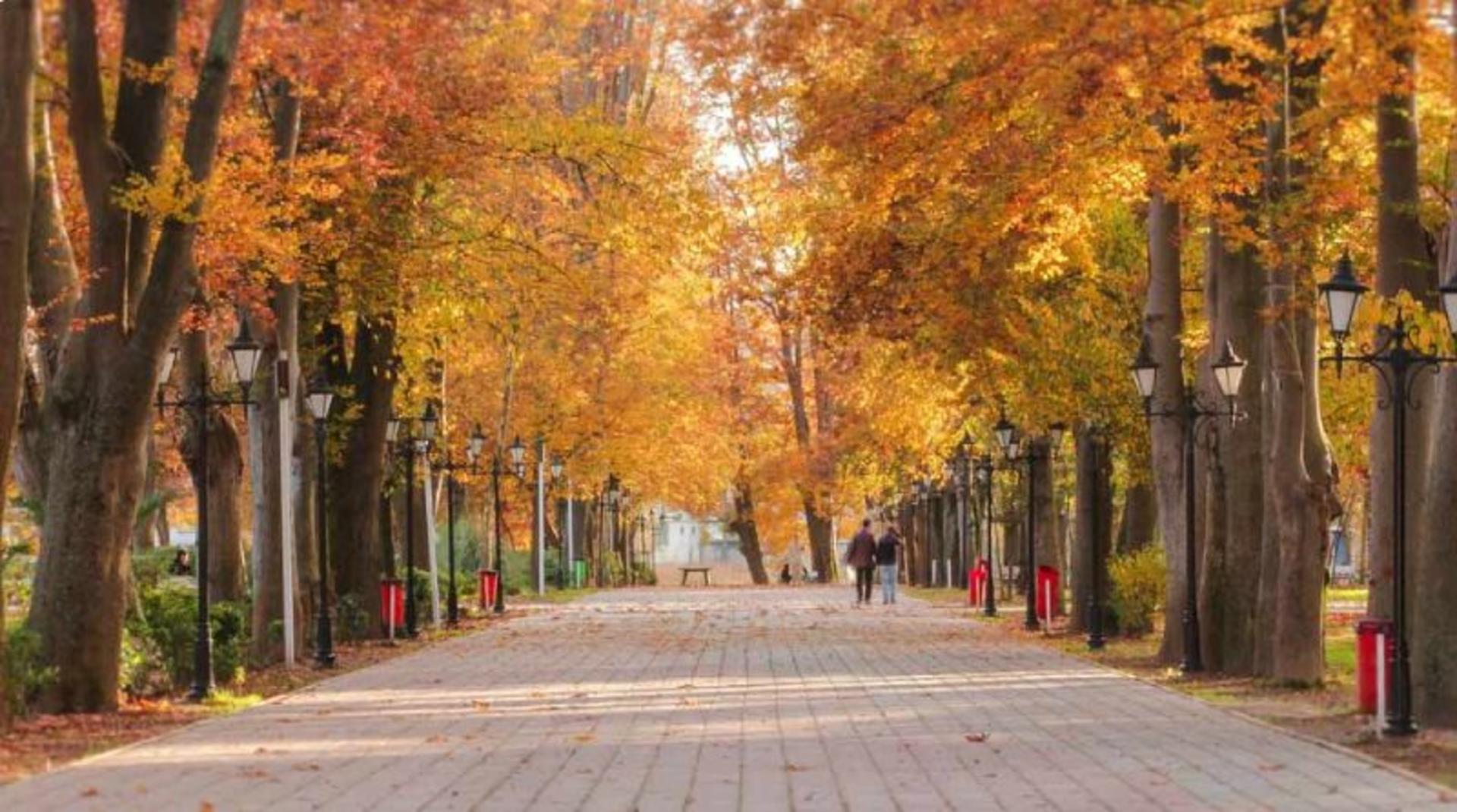 طبیعت پاییزی باغ محتشم رشت