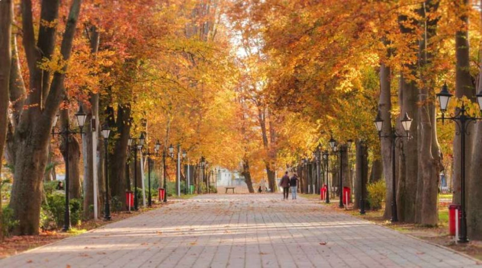 طبیعت پاییزی باغ محتشم رشت