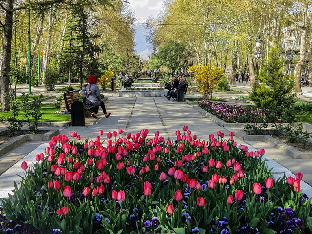 فضای سبز پارک ملت تهران