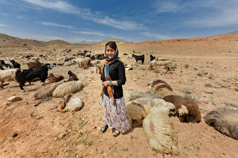 دخترک ایل قشقایی کنار گله گوسفندان