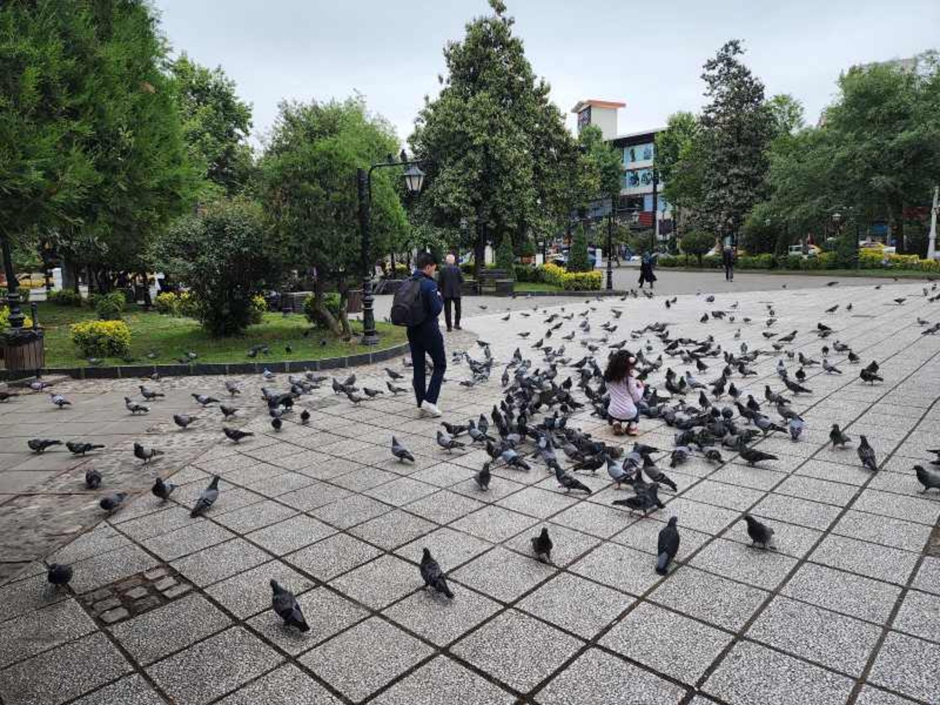 فضای سبز و کبوتران سبزه میدان رشت