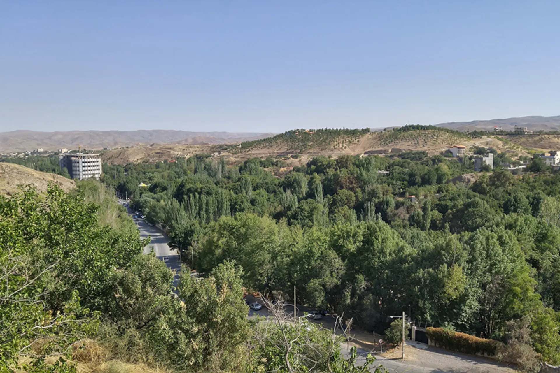 پوشش گیاهی منطقه طرقبه