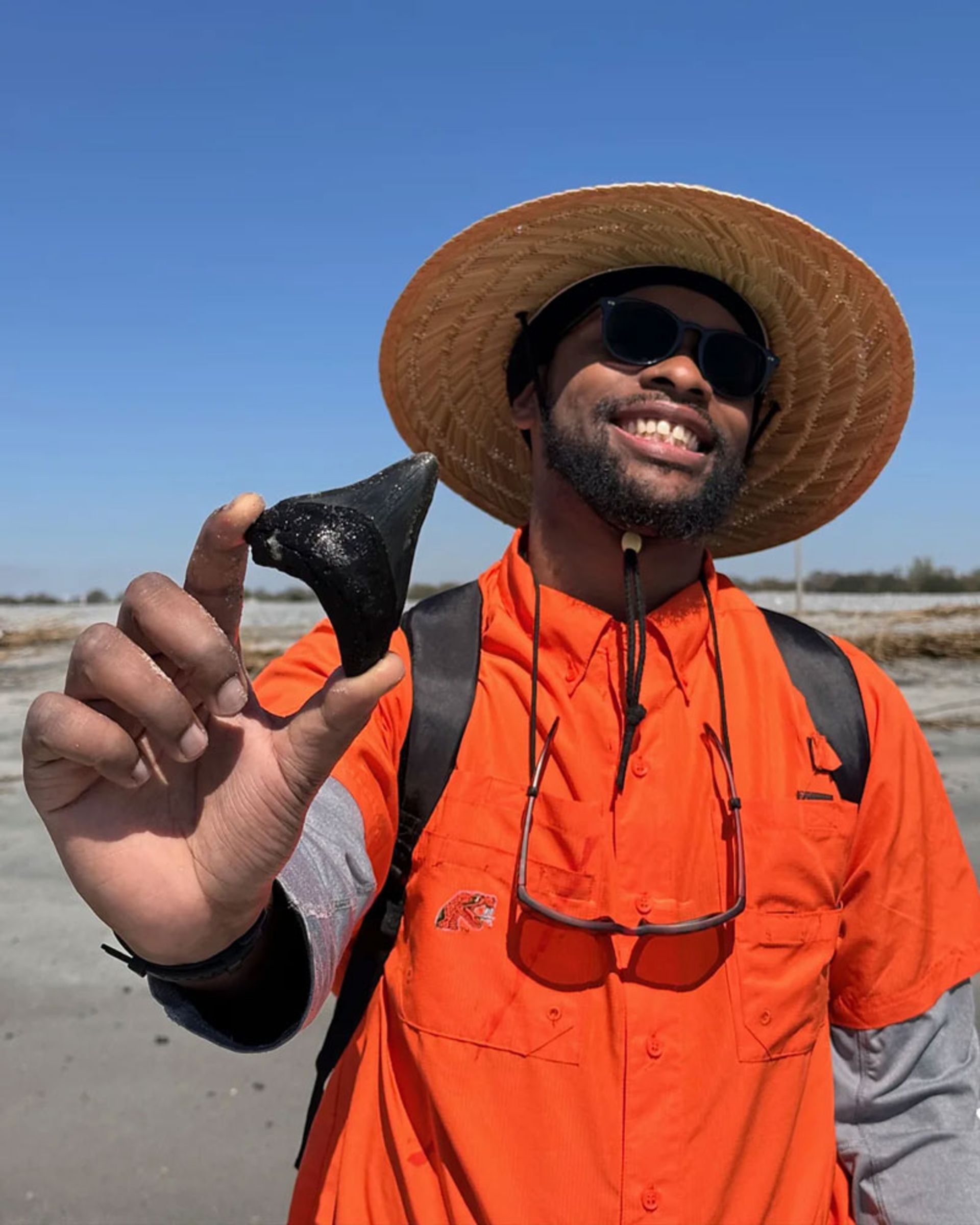 فسیل کشف شده در اقیانوس