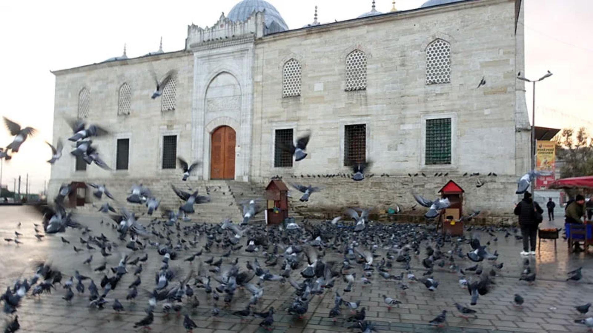 پرواز دسته‌جمعی کبوترها در حیاط مسجد