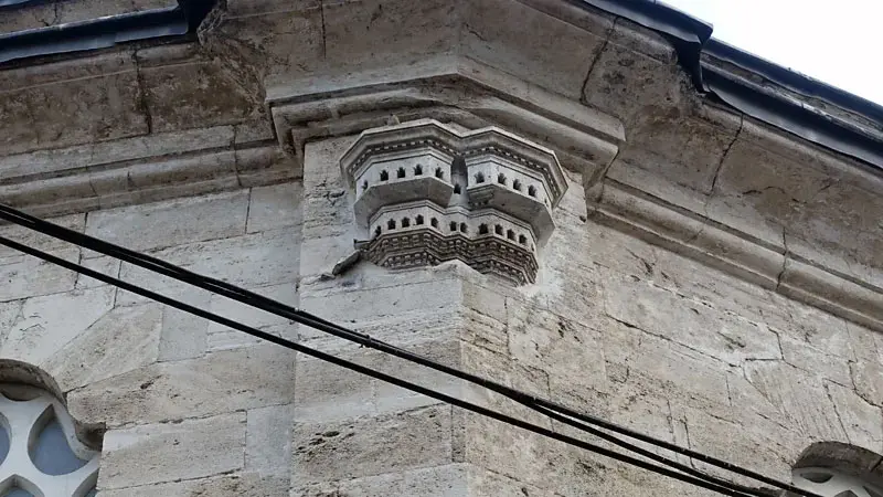 خانه پرنده چندطبقه در نبش دیوار ساختمان