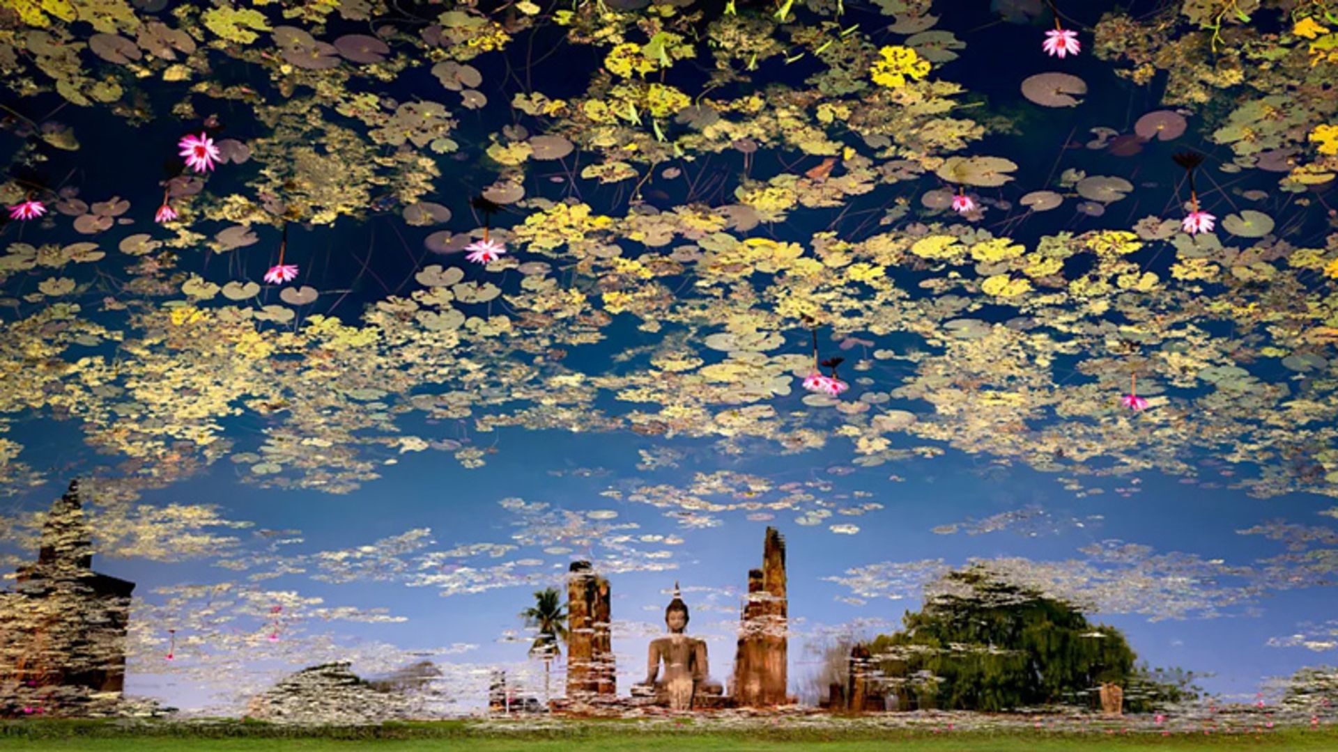 عکس‌های برتر سفر جهان