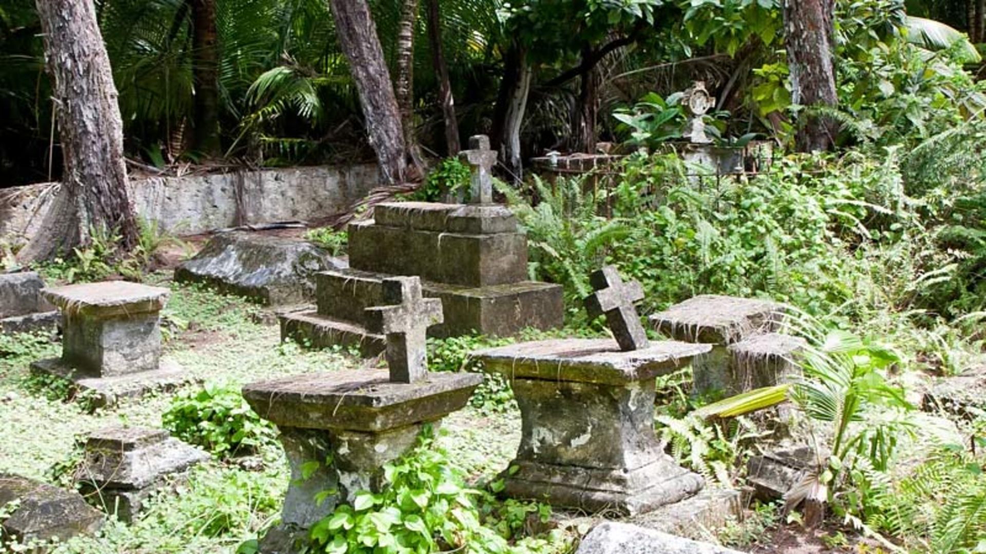 نمای از یک قبرستان متروکه در میان جنگل