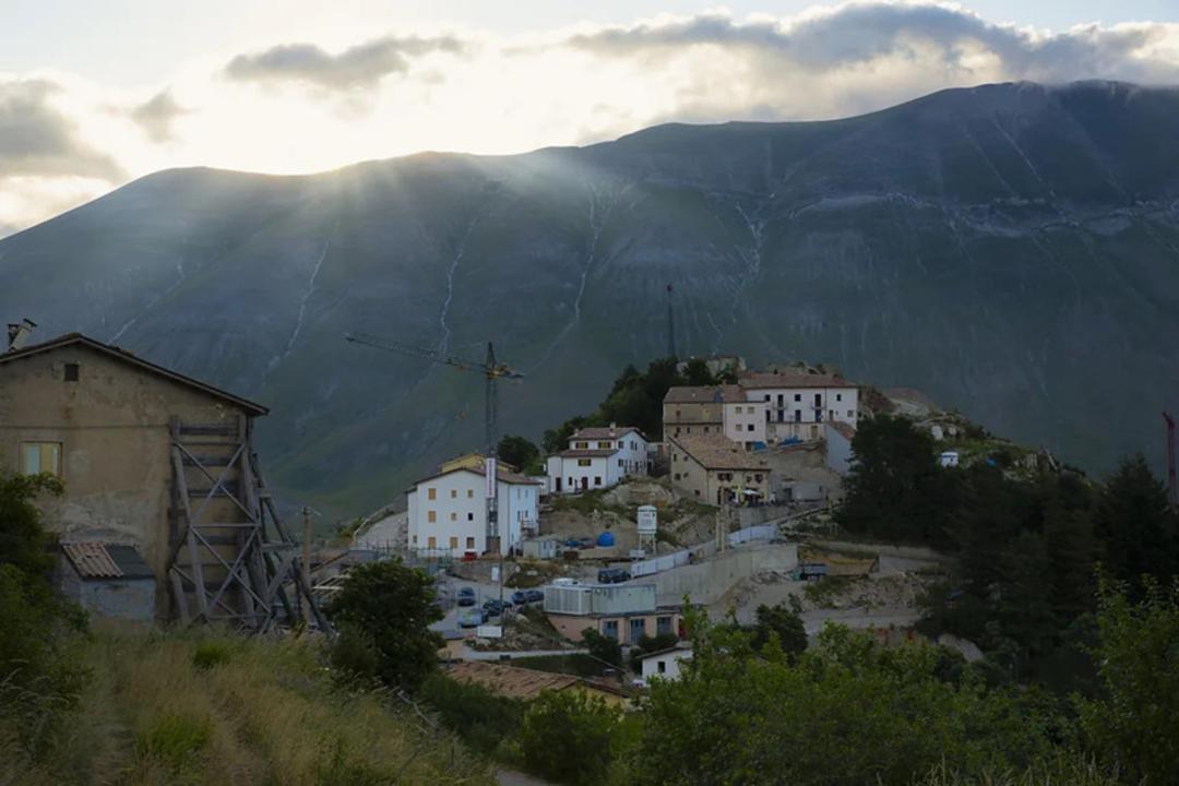 دشت رنگارنگ مزارع عدس در روستایی در ایتالیا
