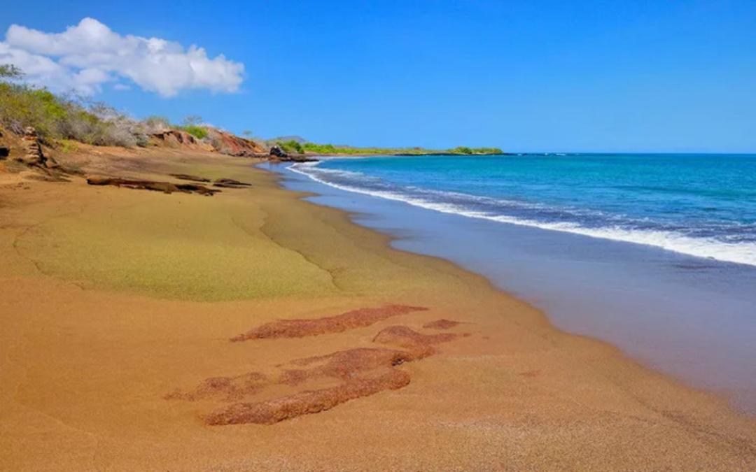 ساحل شنی با امواج آرام دریا و آسمان آبی صاف