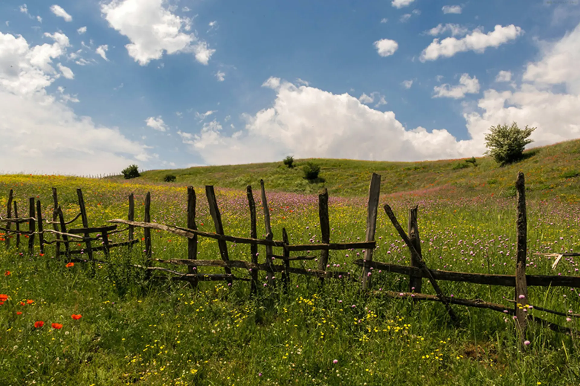 حصارکشی های اطراف دشت سرسبز ییلاق سوباتان