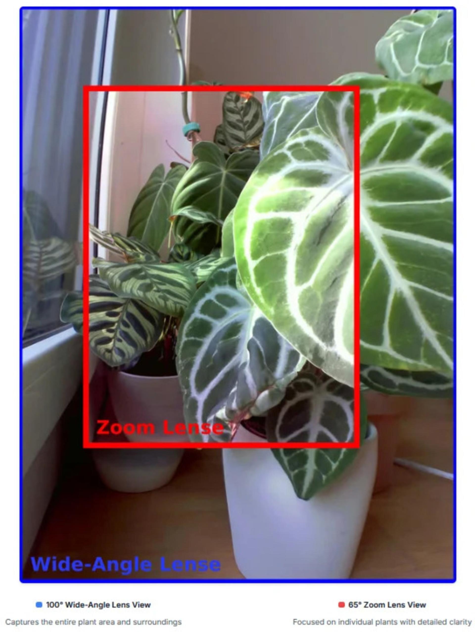 دوربین PlantCam برای ثبت رشد گیاهان