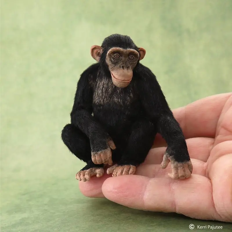 مجسمه شامپانزه (Chimpanzee) کوچک و بسیار واقع‌گرایانه روی کف دست انسان