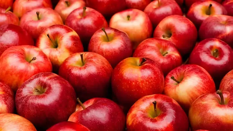 سیب‌های قرمز و زرد با پوست براق در کنار هم