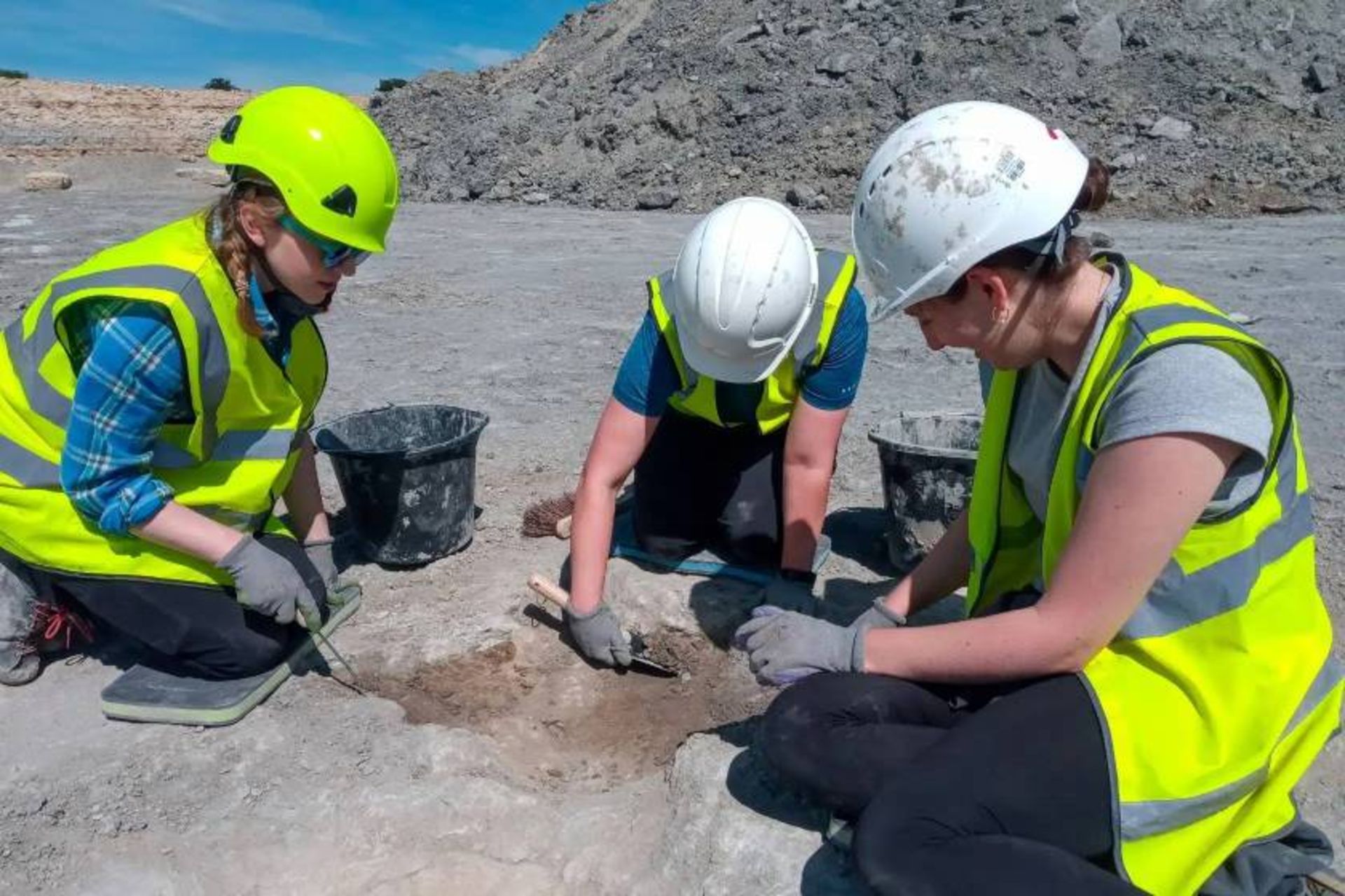 کشف ردپای دایناسور