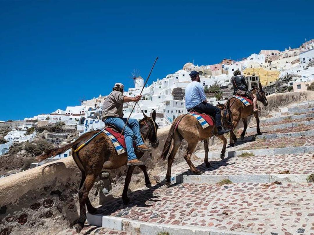 سواران اسب در مسیر پله‌های سنگی شهر سانتورینی (Santorini)