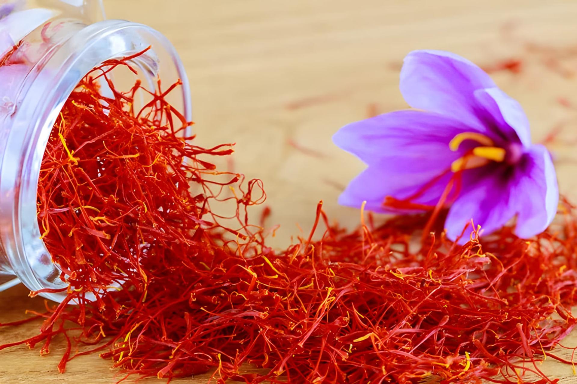 گل بنفش زعفران (Crocus sativus) در کنار رشته‌های قرمز زعفران روی میز