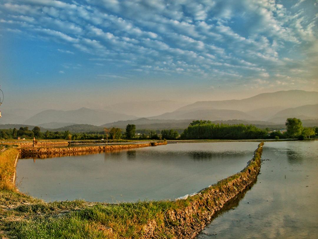 دریاچه الیمالات نور در بهار