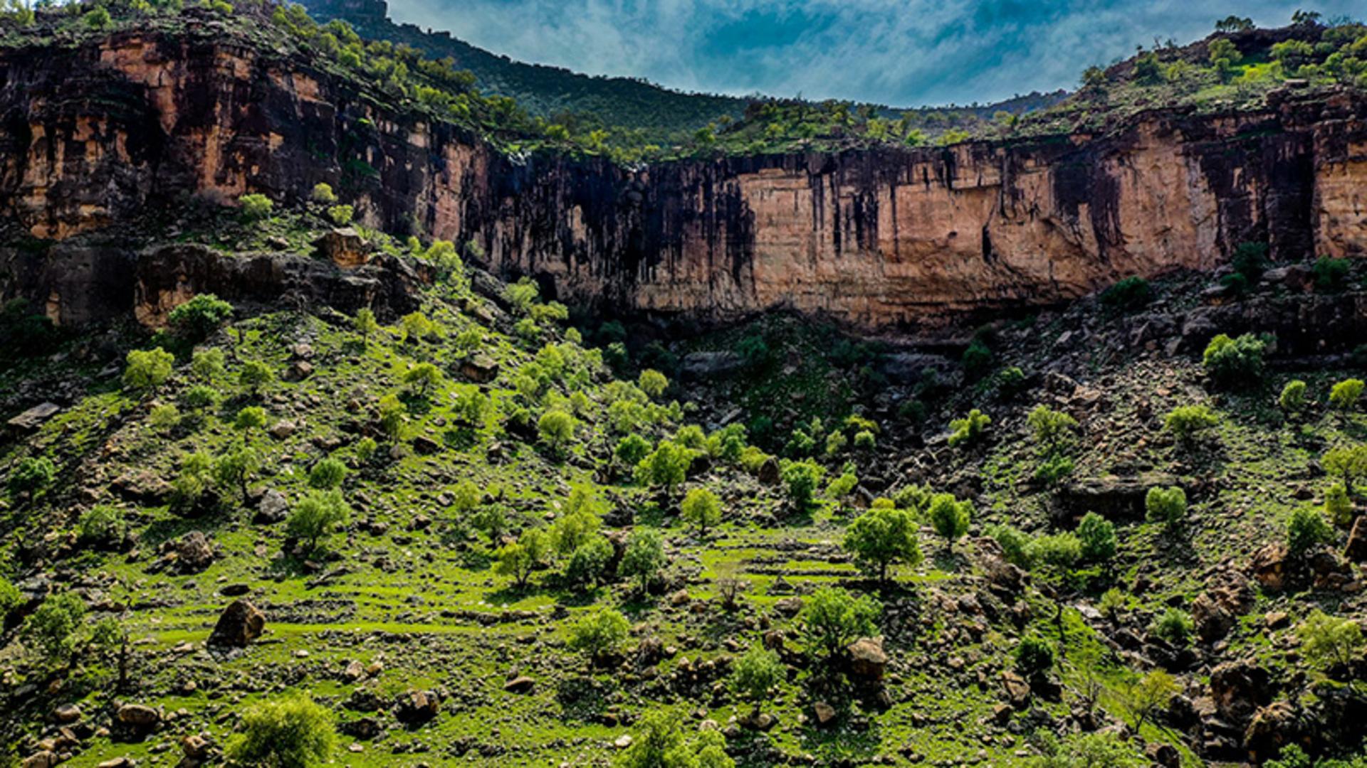 دشت سرسبز در استان لرستان