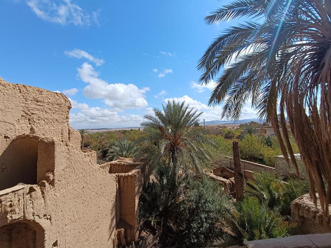 نخلستان ها و بافت تاریخی روستای بیاضه