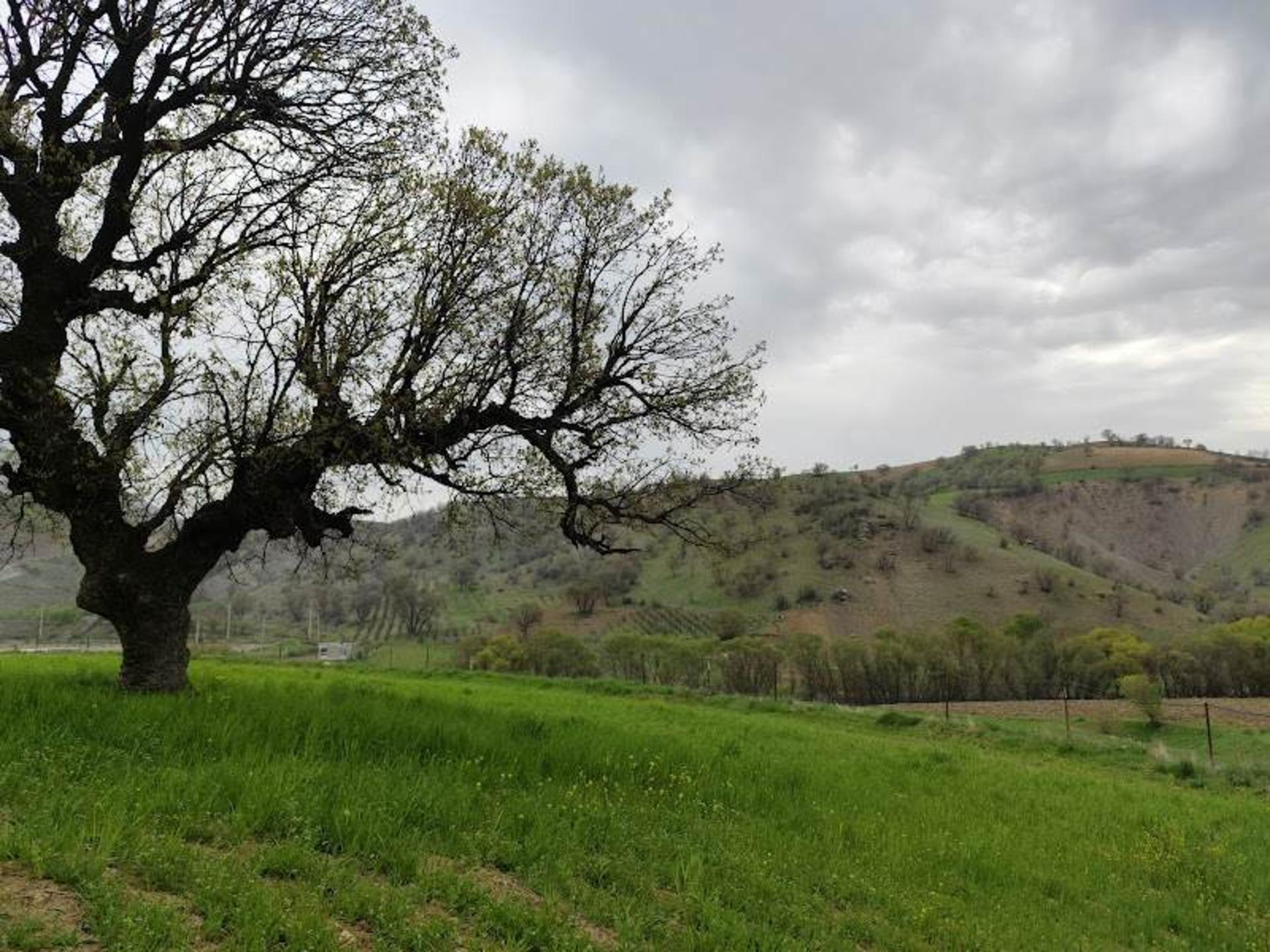 دشت و کوه روستای سفید برگ کرمانشاه