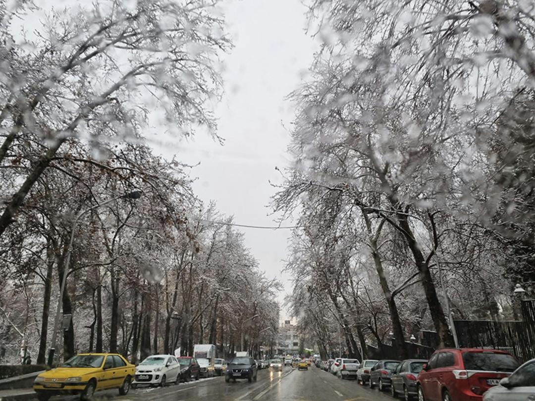 بارش برف در خیابان نیاوران منتهی به کاخ نیاوران