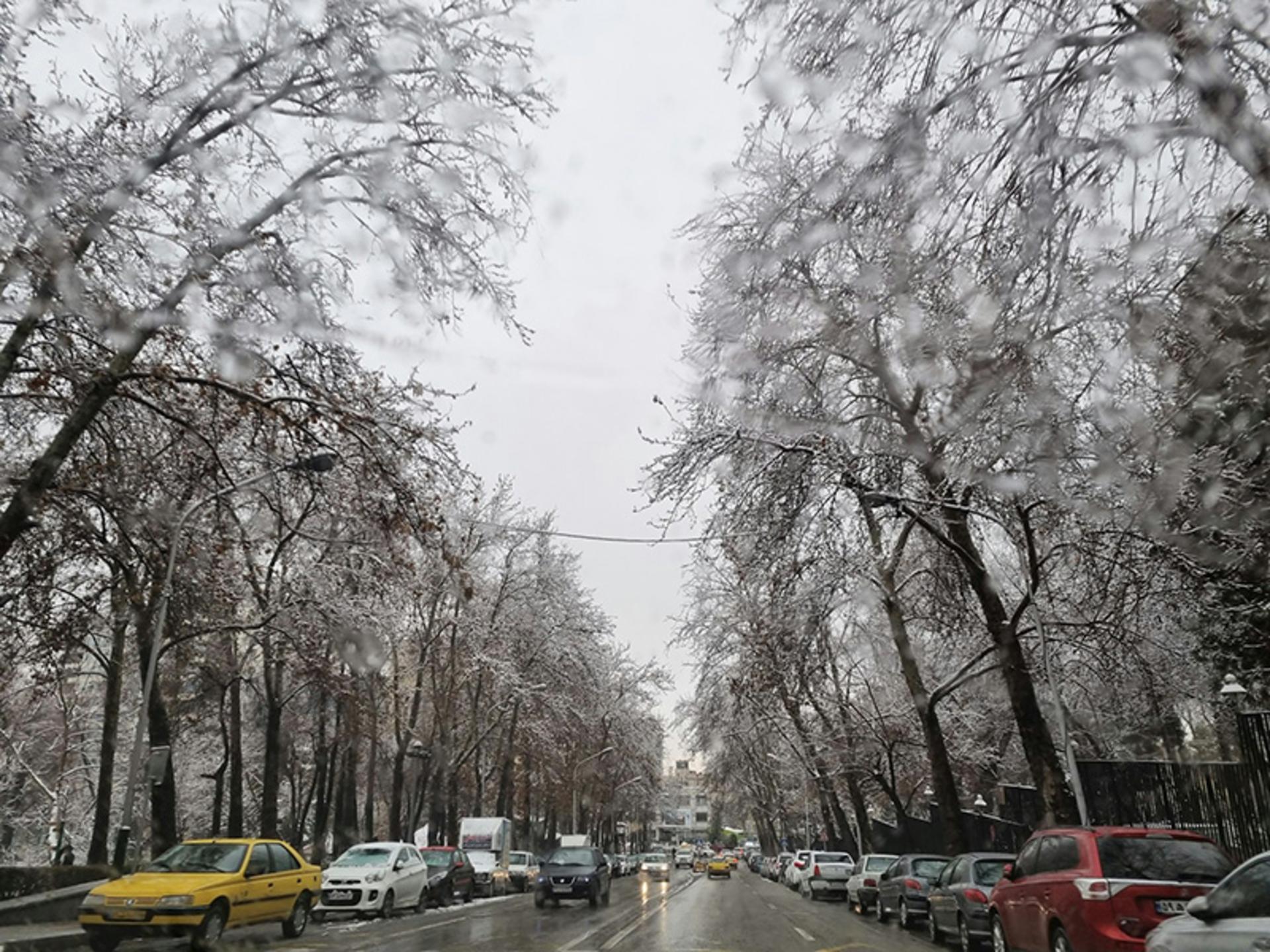 بارش برف در خیابان نیاوران منتهی به کاخ نیاوران