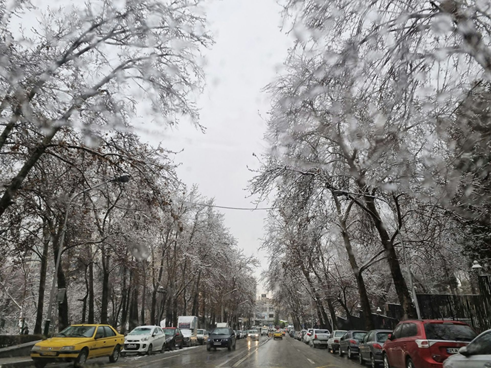بارش برف در خیابان نیاوران منتهی به کاخ نیاوران