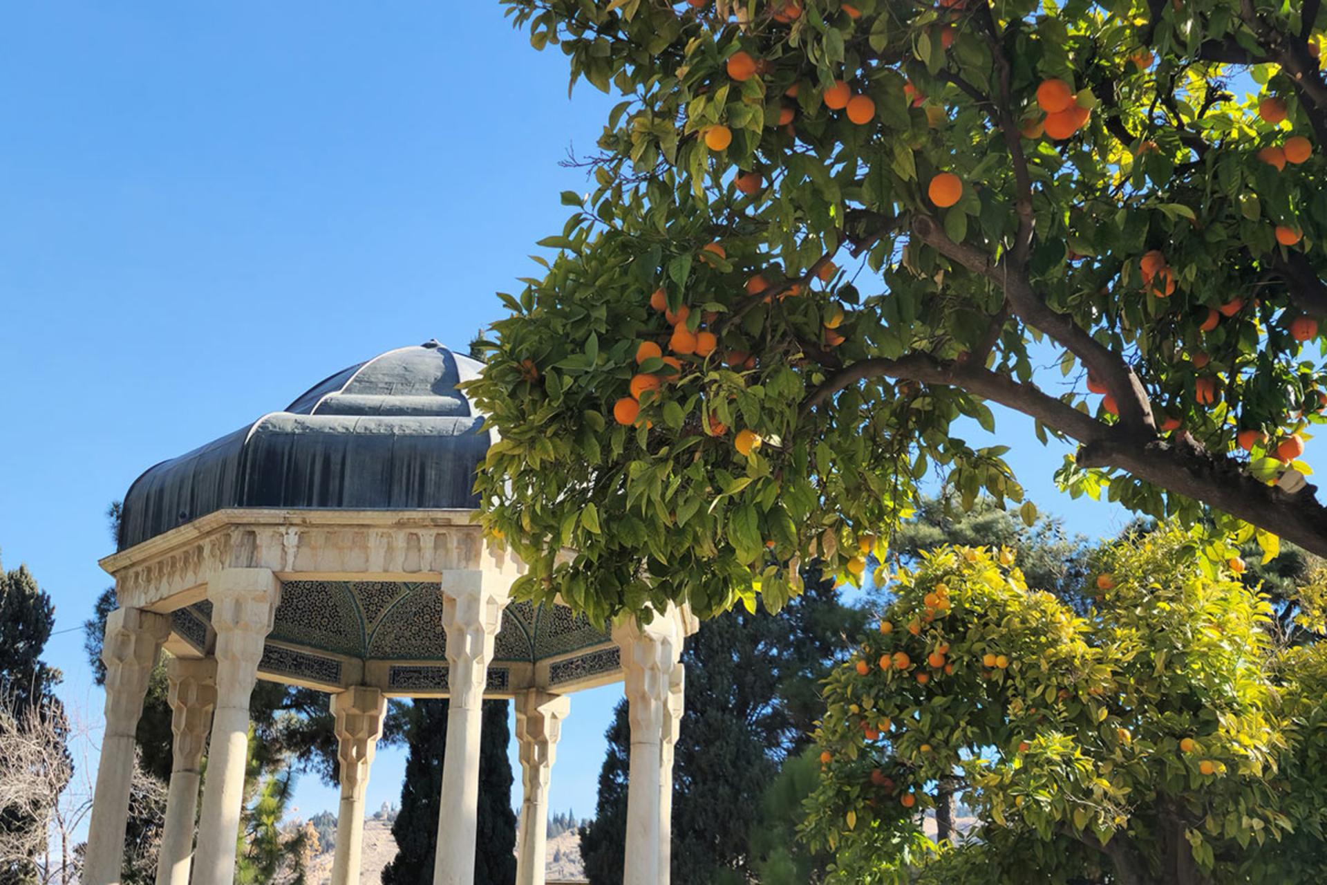 آرامگاه حافظ در کنار درخت نارنج