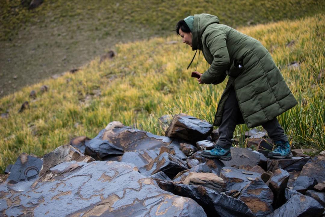 سنگ‌نگاره‌های باستانی (Petroglyphs) در سایت تاریخی سایمالو تاش (Saymaly-Tash) قرقیزستان