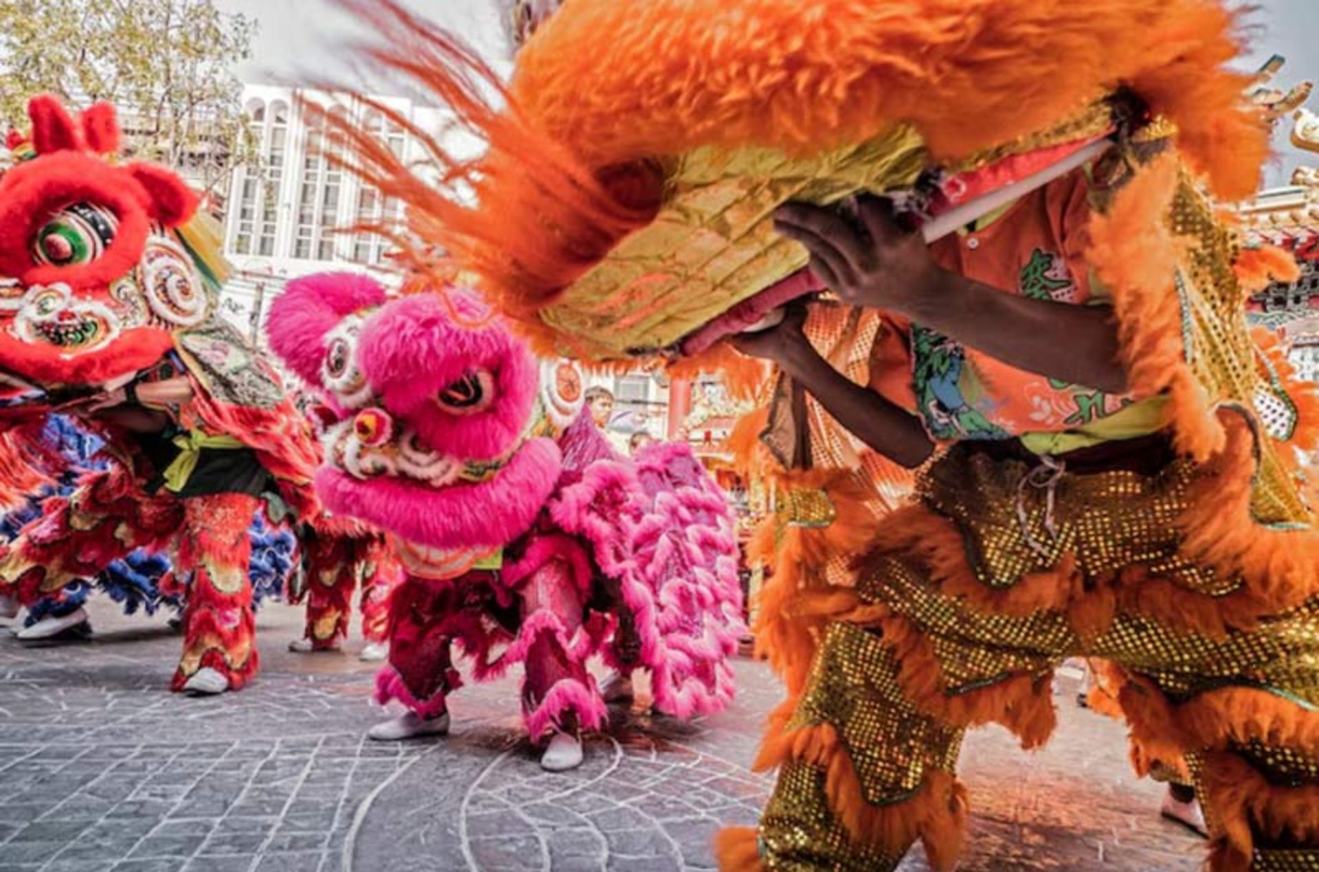 رقص شیر سنتی چینی با لباس‌های رنگارنگ قرمز و صورتی در خیابان