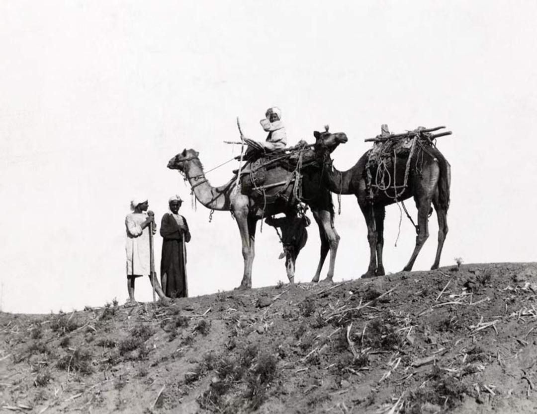 دو شتر به همراه ساربانان در بالای یک تپه شنی در بیابان‌های مصر