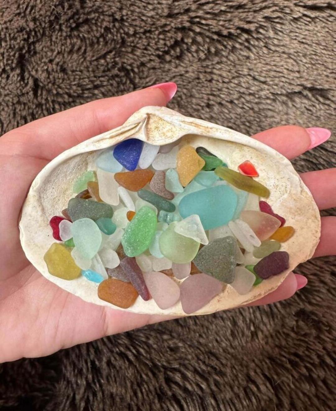 شیشه‌های رنگی ساحلی (Sea Glass) درون یک صدف بزرگ در دست