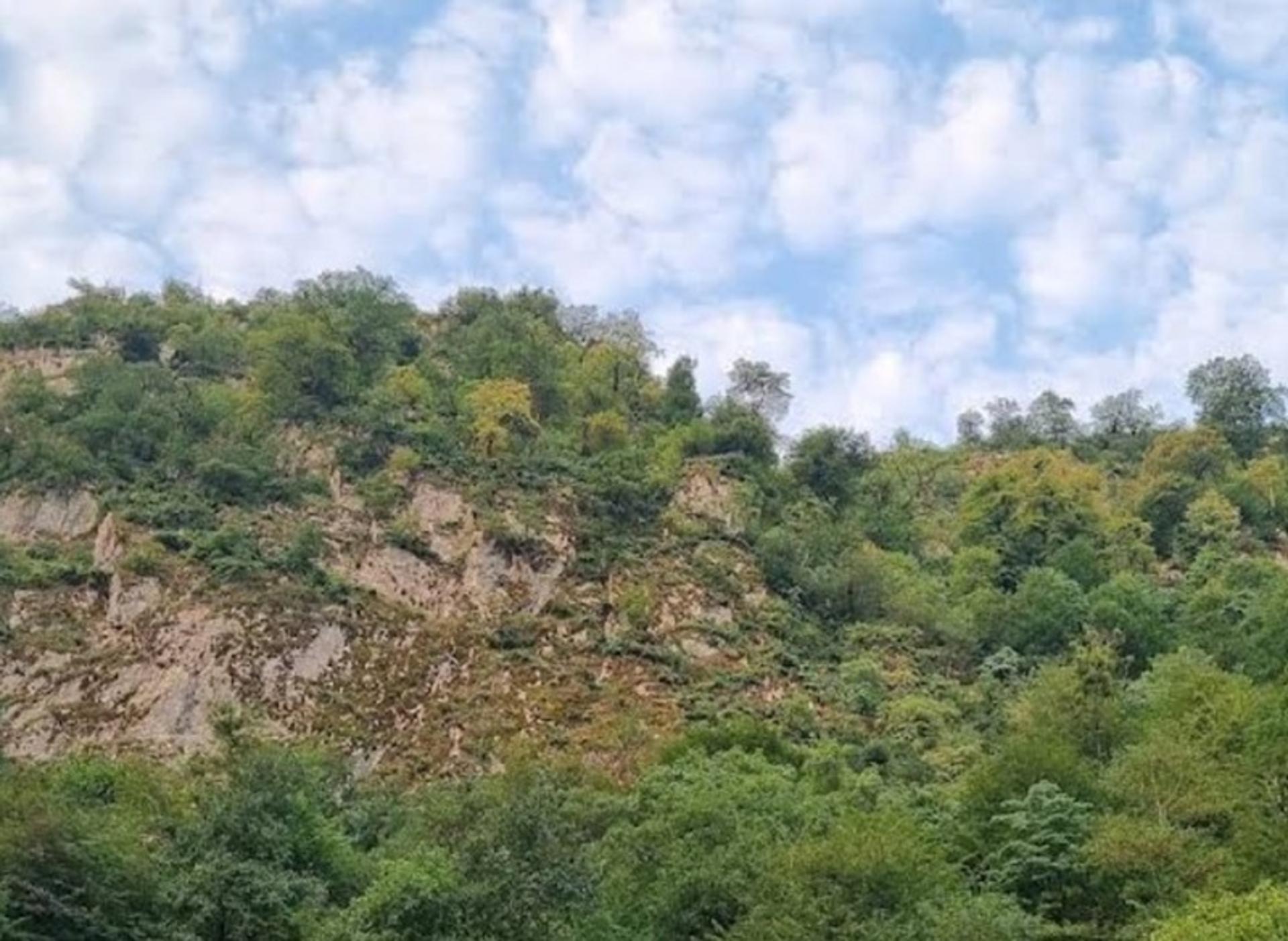 دیوار سنگی اسب ریسه در شاندرمن