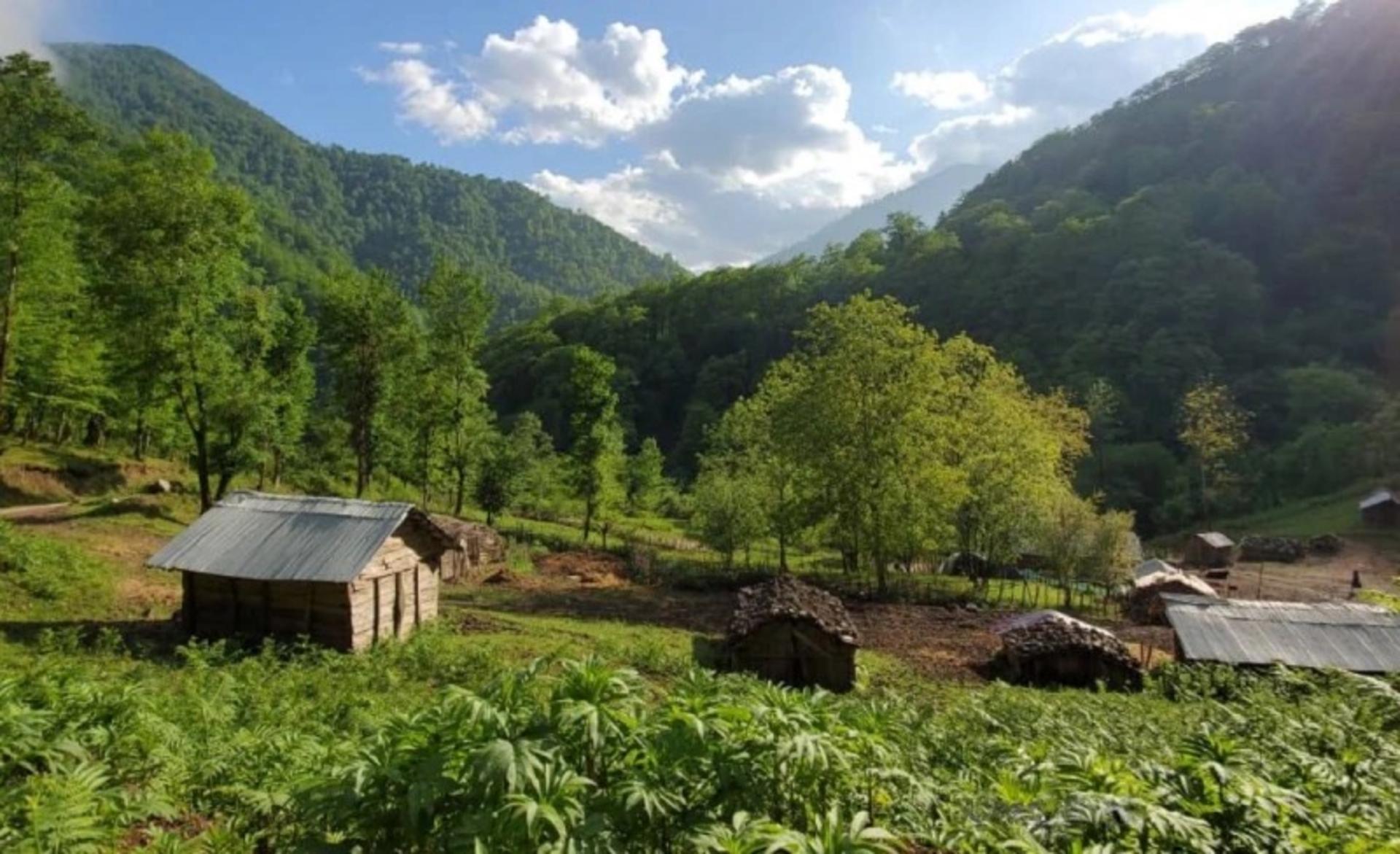نمایی از کلبه چوبی در شاندرمن