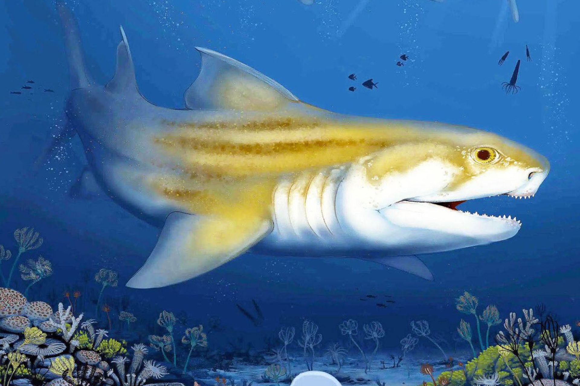 یک نقاشی دیجیتال از یک کوسه پیش‌تاریخی با بدنی به رنگ زرد روشن و خطوط افقی تیره بر پشت