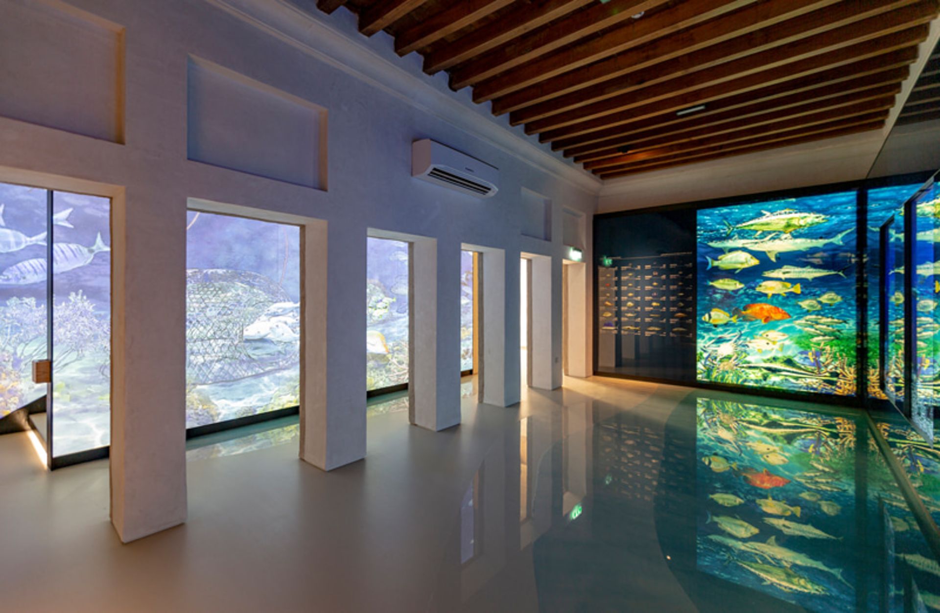 نمای داخلی موزه دبی با نمایش آکواریومی