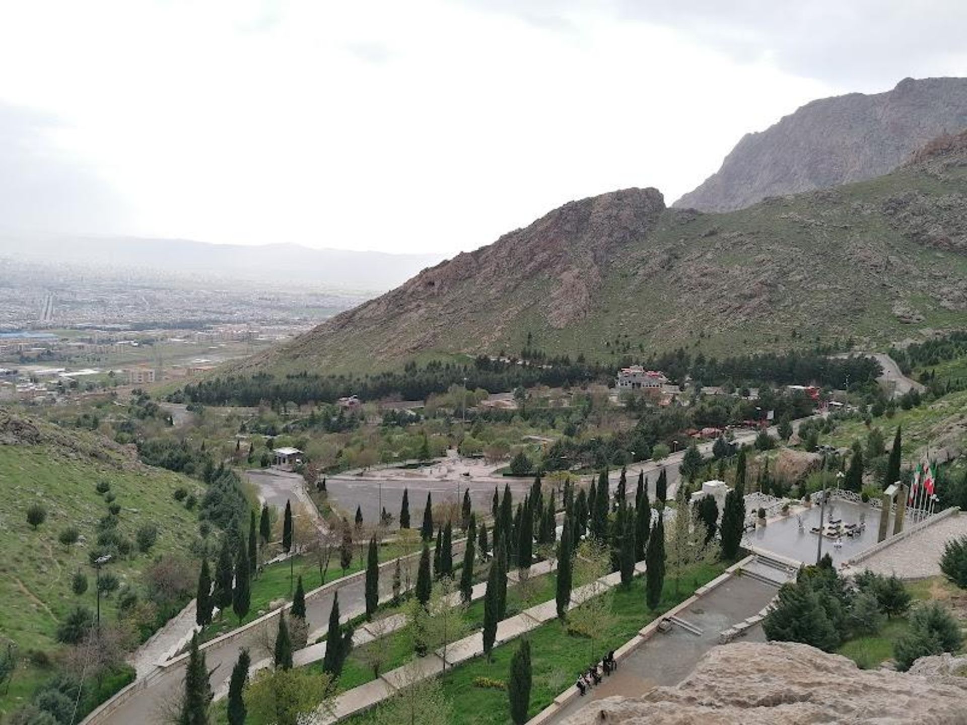 پوشش گیاهی پارک کوهستان کرمانشاه